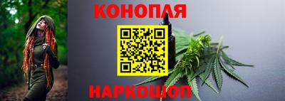 прущие грибы Заводоуковск