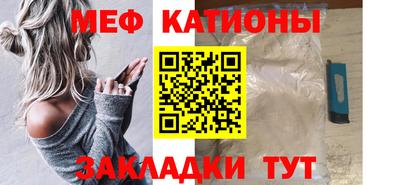 прущие грибы Заводоуковск